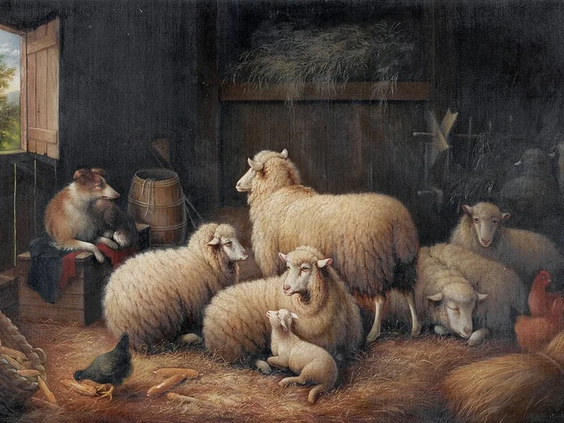 1823-Susan Waters - Pecore e cani in un fienile